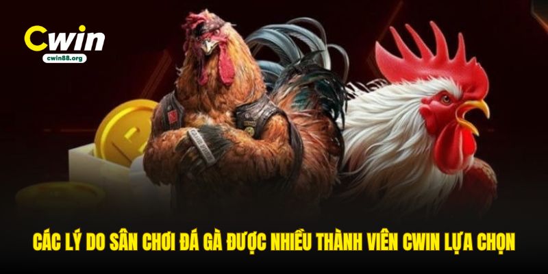 cac-ly-do-san-choi-da-ga-duoc-nhieu-thanh-vien-cwin-lua-chon