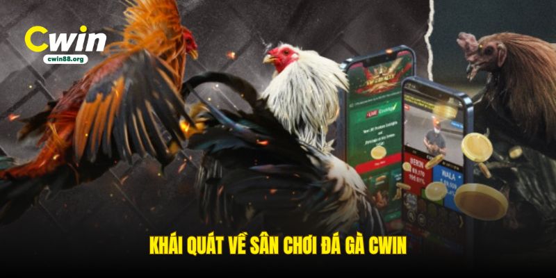 khai-quat-ve-san-choi-da-ga-cwin