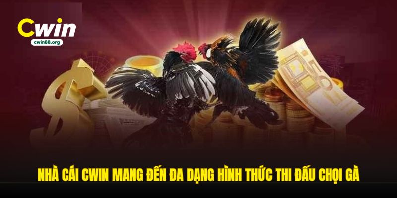 nha-cai-cwin-mang-den-da-dang-hinh-thuc-thi-dau-choi-ga